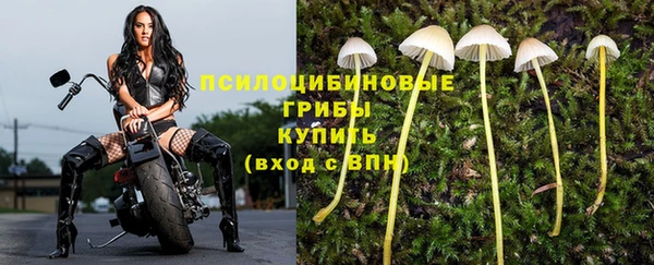 прущий лед Алексин