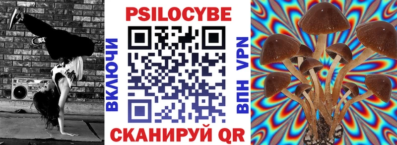 Псилоцибиновые грибы Cubensis  Арск 