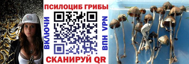 Галлюциногенные грибы GOLDEN TEACHER Арск